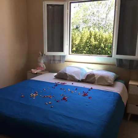 3 Ac Garden Pool Parking 2 Min By Car * Cannes